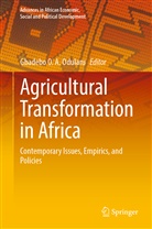 Gbadebo O A Odularu, Gbadebo O. A. Odularu - Agricultural Transformation in Africa