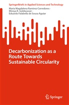 Eduardo Falabella de Sousa Aguiar, Mi Goldwasser, Mireya R. Goldwasser, Maria Magdalena Ramirez-Corredores - Decarbonization as a Route Towards Sustainable Circularity