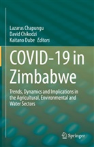 Lazarus Chapungu, David Chikodzi, Kaitano Dube - COVID-19 in Zimbabwe