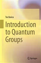 Teo Banica - Introduction to Quantum Groups