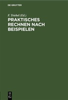 F. Triebel - Praktisches Rechnen nach Beispielen