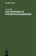 Carnall - Die Sprünge im Steinkohlengebirge