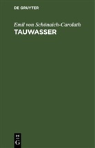 Emil von Schönaich-Carolath - Tauwasser