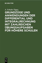 A. Schulte-Tigges - Grundzüge und Anwendungen der Differential und Integralrechnung mit zahlreichen Übungsaufgaben für höhere Schulen
