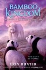 Erin Hunter - Bamboo Kingdom #3: Journey to the Dragon Mountain