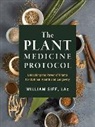 William Siff - Plant Protocol