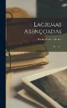 Camilo Castelo Branco - Lagrimas Abençoadas: Romance