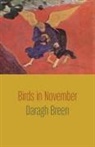 Daragh Breen - Birds in November