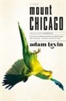 Adam Levin - Mount Chicago