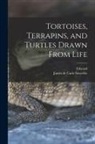 Edward Lear, James De Carle Sowerby - Tortoises, Terrapins, and Turtles Drawn From Life