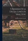 Michele Antonio Vassalli - Grammatica Della Lingua Maltese