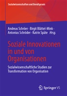 Birgit Blättel-Mink, Antonius Schröder, Antonius Schröder u a, Andreas Schröer, Katrin Späte - Soziale Innovationen in und von Organisationen