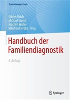 Reich, Manfred Cierpka, Günter Reich, Michael Stasch, Joachim Walter, Joachim Walter (Dr.) u a... - Handbuch der Familiendiagnostik