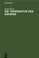 Angelo Mosso - Die Temperatur des Gehirns
