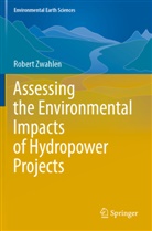 Robert Zwahlen - Assessing the Environmental Impacts of Hydropower Projects