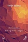 Shida Bazyar - Bornemann Sokaginda Yangin