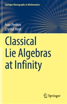 Crystal Hoyt, Ivan Penkov - Classical Lie Algebras at Infinity