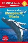 DK - DK Super Readers Level 2 Journey of a Humpback Whale