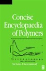 Nicholas P Cheremisinoff, Nicholas P Cheremisinoff - Condensed Encyclopedia of Polymer Engineering Terms