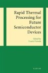 H. (Muroran Institute of Technology Fukuda, Fukuda H. - Rapid Thermal Processing for Future Semiconductor Devices