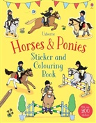 Jessica Greenwell, Fiona Patchett, Fiona Patchett Patchett, Rebecca Finn - Horses & Ponies Sticker and Colouring Book