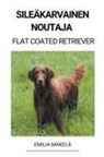 Emilia Mäkelä - Sileäkarvainen Noutaja (Flat Coated Retriever)