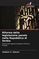 Vladimir V. Vekovi¿, Vladimir V. Vekovic - Riforma della legislazione penale nella Repubblica di Serbia