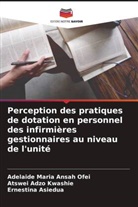 Adelaide Maria Ansah Ofei, Ernestina Asiedua, Atswei Adzo Kwashie - Perception des pratiques de dotation en personnel des infirmières gestionnaires au niveau de l'unité