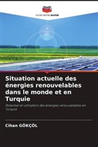 Cihan Gökçöl - Situation actuelle des énergies renouvelables dans le monde et en Turquie