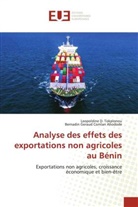 Bernadin Géraud Comlan Ahodode, Leopoldine D. Tokplonou - Analyse des effets des exportations non agricoles au Bénin