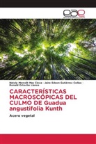 Jairo Edson Gutiérrez Collao, Nataly Meredit Mas Cieza, Ronald Ortecho Llanos - CARACTERÍSTICAS MACROSCÓPICAS DEL CULMO DE Guadua angustifolia Kunth
