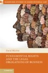David Bilchitz, David (University of Johannesburg) Bilchitz, Bilchitz David - Fundamental Rights and the Legal Obligations of Business