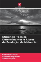 Shankar Majumder, Bishwajit Sarker, Sheikh Sayem - Eficiência Técnica, Determinantes e Riscos da Produção de Melancia