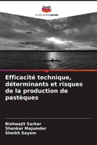 Shankar Majumder, Bishwajit Sarker, Sheikh Sayem - Efficacité technique, déterminants et risques de la production de pastèques