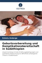 Eshetu Andarge - Geburtsvorbereitung und Komplikationsbereitschaft in Südäthiopien