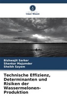 Shankar Majumder, Bishwajit Sarker, Sheikh Sayem - Technische Effizienz, Determinanten und Risiken der Wassermelonen-Produktion