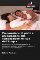 Eshetu Andarge - Preparazione al parto e preparazione alla compilazione nel sud dell'Etiopia
