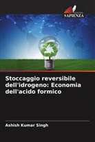 Ashish Kumar Singh - Stoccaggio reversibile dell'idrogeno: Economia dell'acido formico