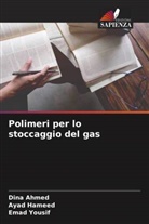 Dina Ahmed, Ayad Hameed, Emad Yousif - Polimeri per lo stoccaggio del gas