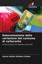 Xavier Adrián Saldaña Caldas - Determinazione della variazione del consumo di carburante