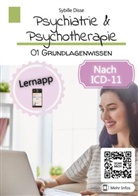 Sybille Disse, Sybille Disse - Psychiatrie & Psychotherapie Band 01: Grundlagenwissen (Arbeitsbuch)