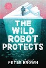 Peter Brown - The Wild Robot Protects