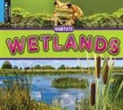 John Willis - Wetlands