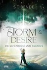 S T Bende, S.T. Bende - Storm & Desire - Die Geheimnisse von Asgard Band 2