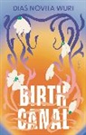 Dias Novita Wuri - Birth Canal