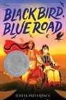 Sofiya Pasternack - Black Bird, Blue Road