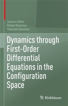 Jaume Llibre, Rafael Ramírez, Valentín Ramírez - Dynamics through First-Order Differential Equations in the Configuration Space