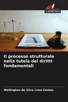 Wellington da Silva Lima Santos - Il processo strutturale nella tutela dei diritti fondamentali