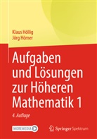 Klaus Höllig, Jörg Hörner - Aufgaben und Lösungen zur Höheren Mathematik 1