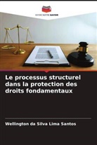 Wellington da Silva Lima Santos - Le processus structurel dans la protection des droits fondamentaux